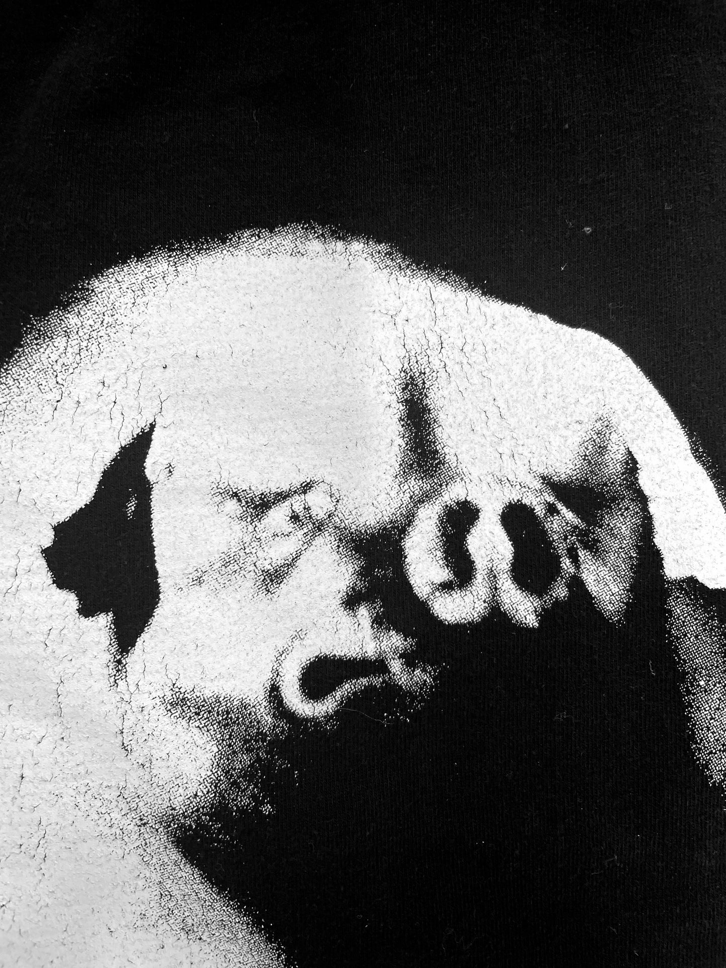 Pig Floyd